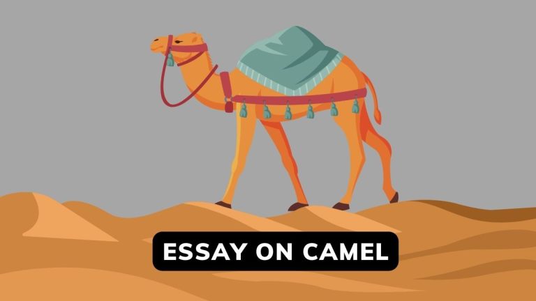 Essay On Camel In English, For Kids,100-200 Words
