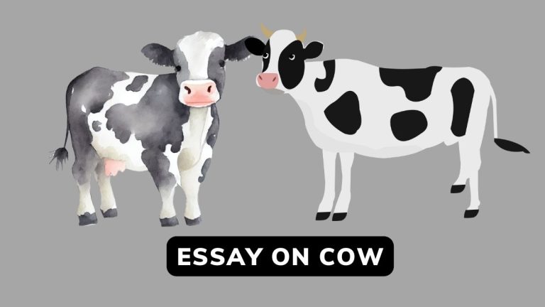 Essay On Cow For Class 1,2,6,12 And 100 Words