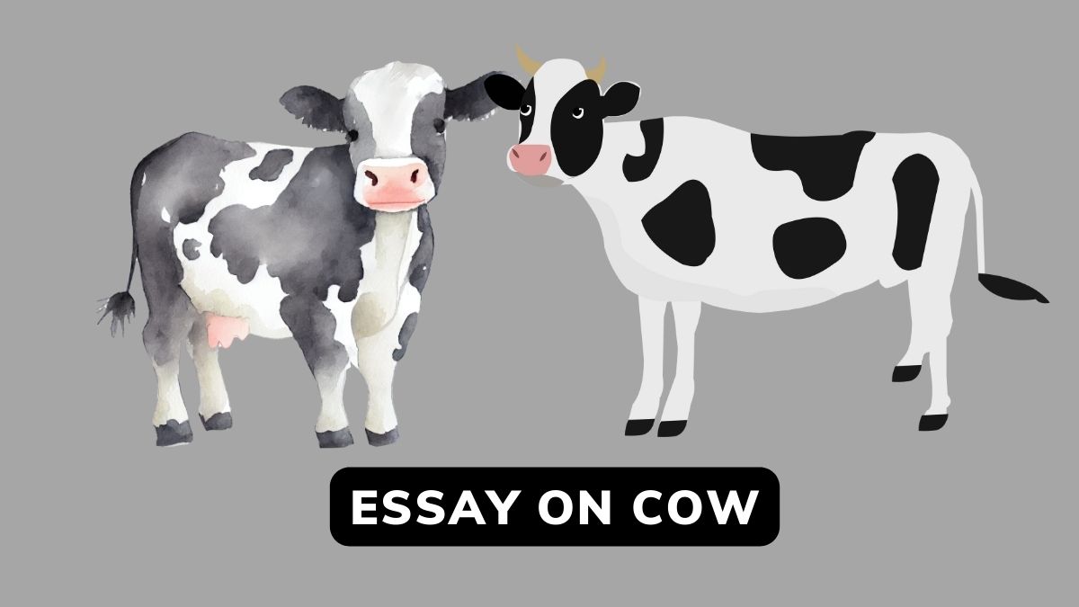 Essay On Cow