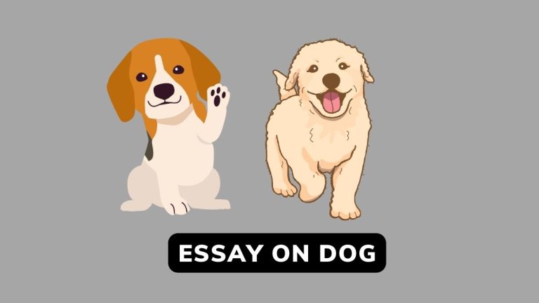 Essay On Dog In English For Class 1,2,3,
