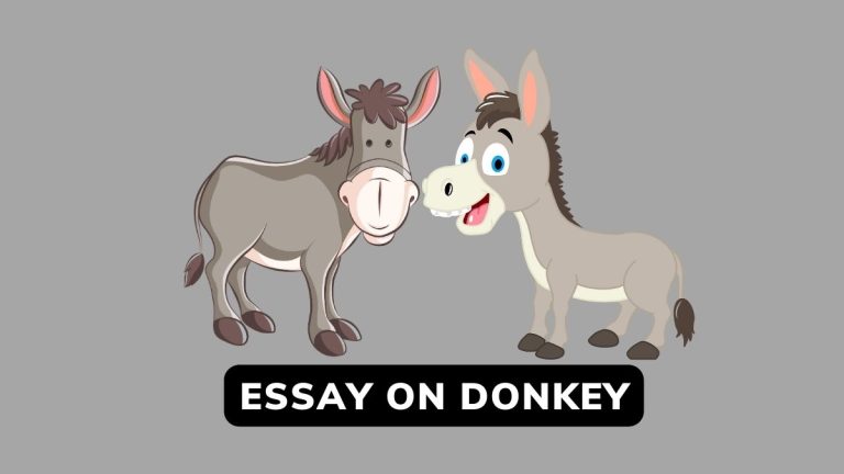 Essay On Donkey in English 100 Words, Short Essay