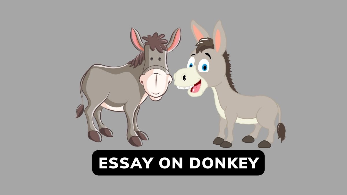 Essay On Donkey