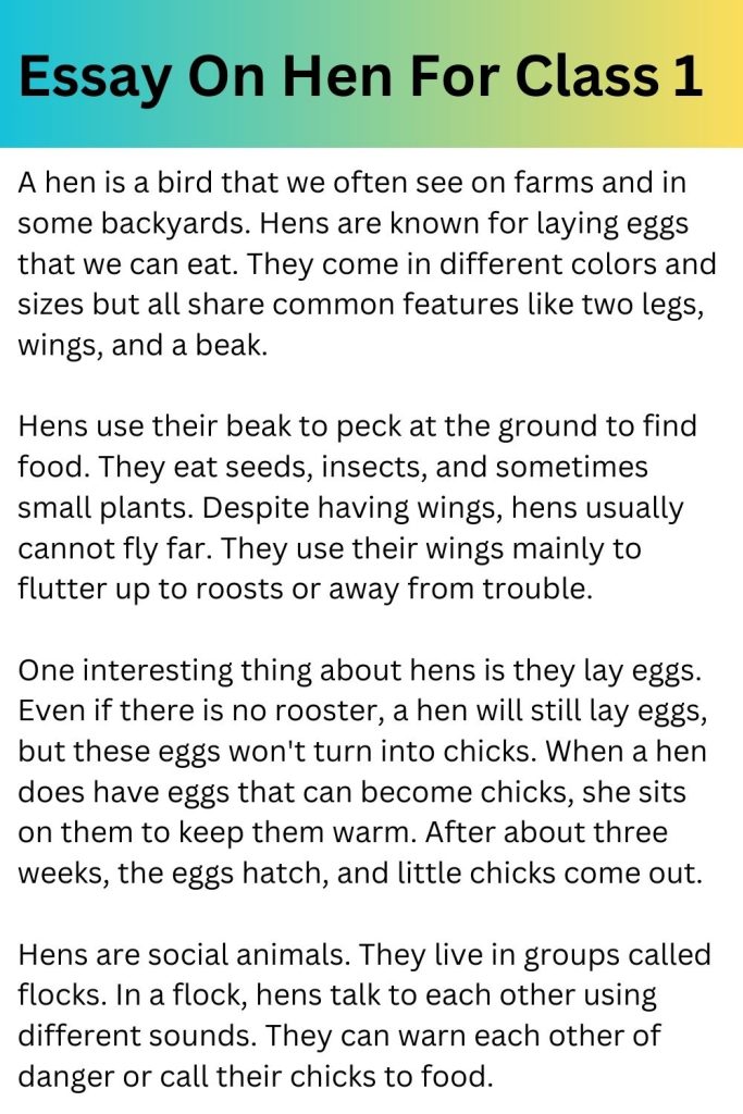 Essay On Hen For Class 1