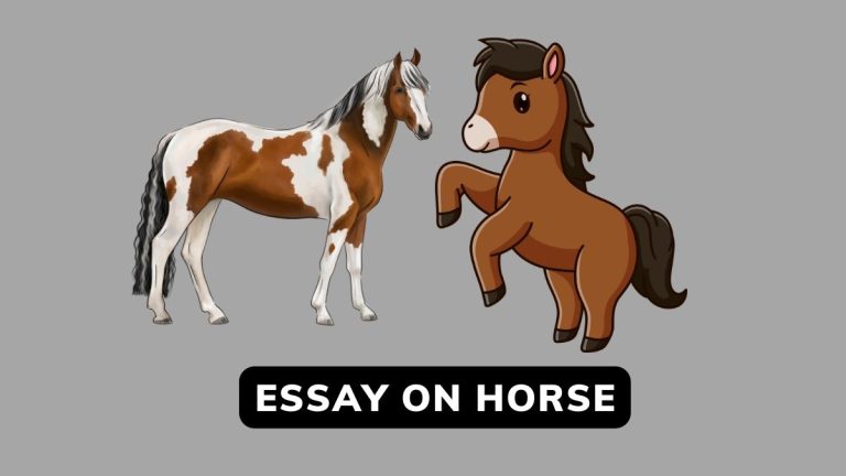 Essay on Horse In English for Class 1,2,and 6