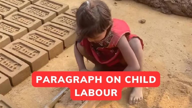 Paragraph On Child Labour In 100,150,200 Words For Class 8