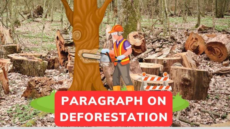 Paragraph On Deforestation In English Class 5-12