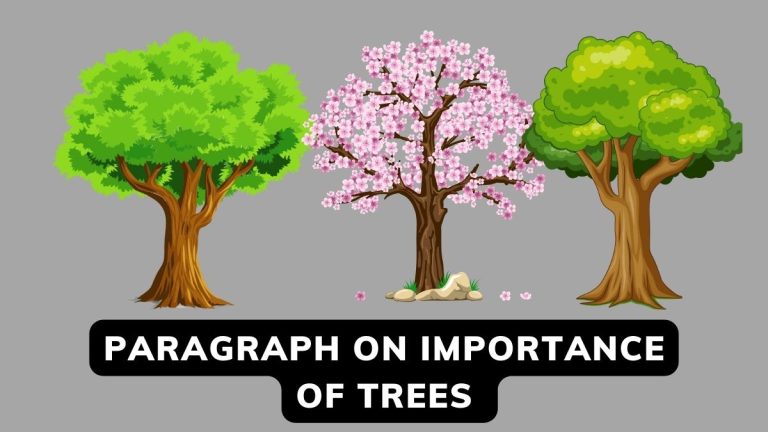 Paragraph On Importance Of Trees In 100,150,200 Words For Class 4-7