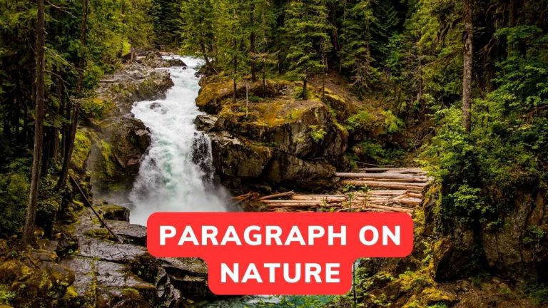 Paragraph On Nature In 100-200 Words And For Class 3-10