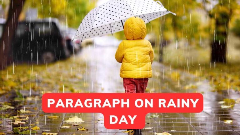 Paragraph On Rainy Day For in English Class 1-10
