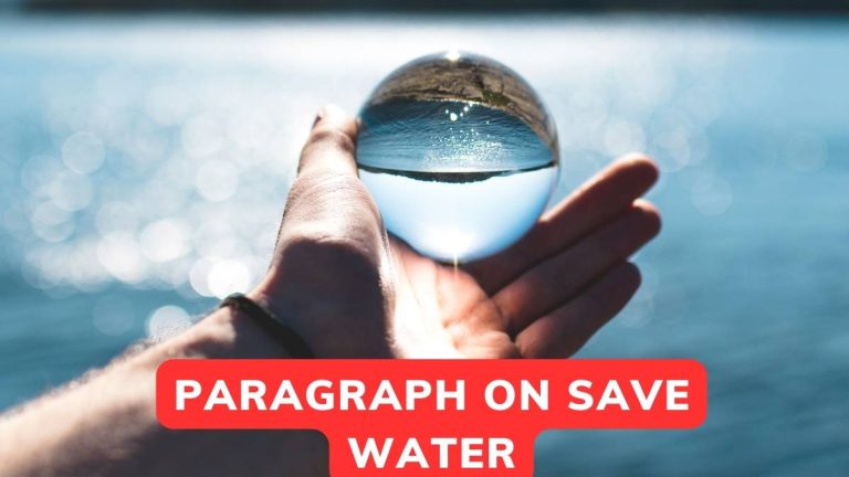Paragraph On Save Water For Class 3-10 & 100-200 Words