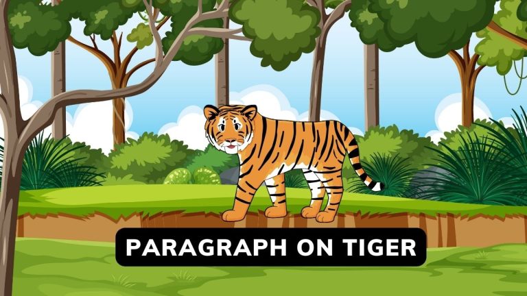 Paragraph On Tiger For Class 1-6 And 100-200 Words