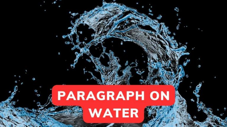 Paragraph On Water in English Class 1-10